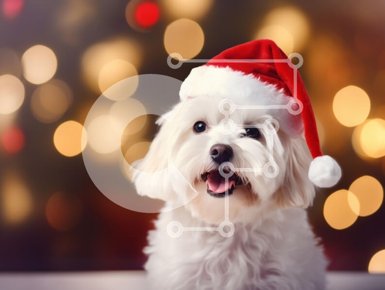 Σετ των 2 Intra Συλλεκτικό Ξύλινο Παζλ Plywood  4mm - Χαρούμενο σκυλί με καπέλο Άγιου Βασίλη με εορταστικό φόντο Σε Ξύλινο Κουτί - Διαστάσεις: 10x10 cm – 25 κομμάτια