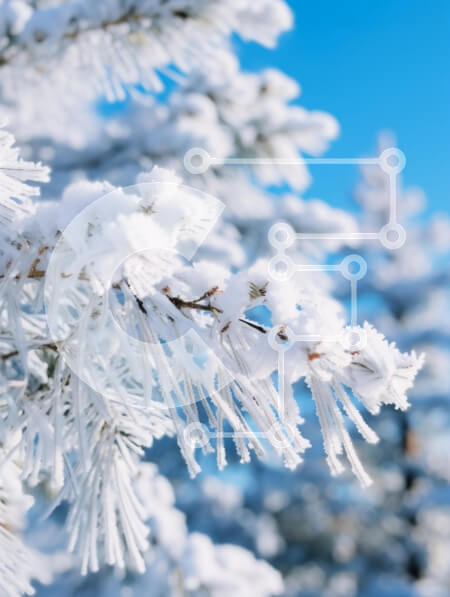 Σετ των 2 Intra Συλλεκτικό Ξύλινο Παζλ Plywood  4mm - Χιονισμένα κλαδιά πεύκου κάτω από το γαλάζιο του ουρανού Σε Ξύλινο Κουτί - Διαστάσεις: 10x10 cm – 25 κομμάτια