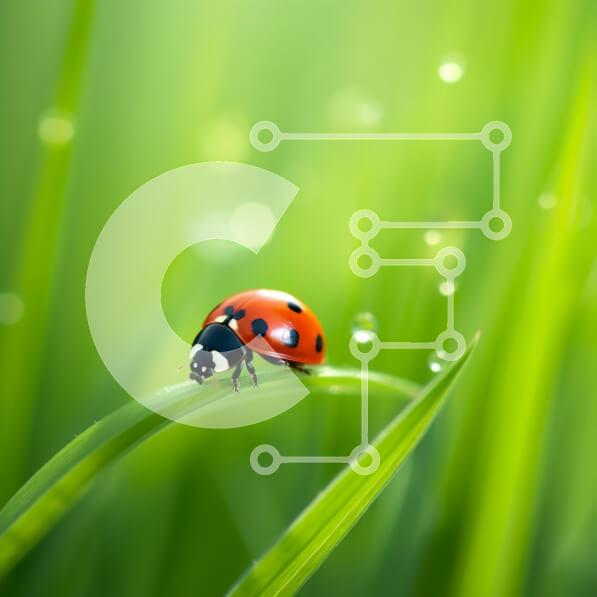 Intra Συλλεκτικό Ξύλινο Παζλ Plywood  4mm - Πασχαλίτσα στο πράσινο γρασίδι με δροσοσταλίδες Σε Ξύλινο Κουτί - Διαστάσεις: 10x10 cm – 25 κομμάτια