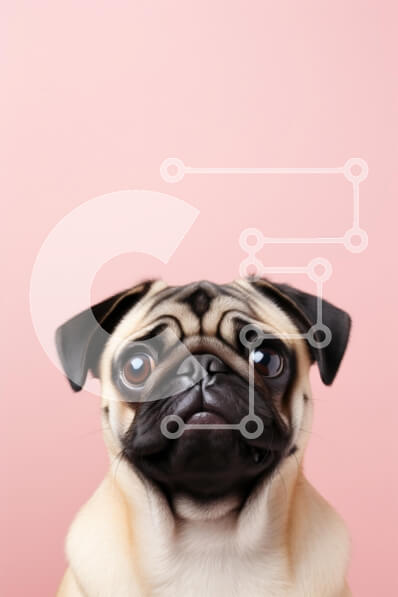 Σετ των 2 Intra Συλλεκτικό Ξύλινο Παζλ Plywood  4mm - Πορτρέτο σκύλου πατημασιά σε ροζ φόντο Σε Ξύλινο Κουτί - Διαστάσεις: 10x10 cm – 25 κομμάτια