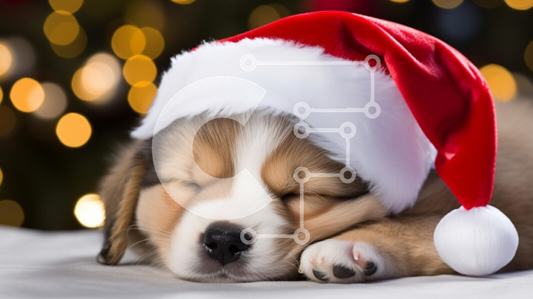 Intra Συλλεκτικό Ξύλινο Παζλ Plywood  4mm - Κουτάβι που κοιμάται με χριστουγεννιάτικο καπέλο Σε Ξύλινο Κουτί - Διαστάσεις: 10x10 cm – 25 κομμάτια