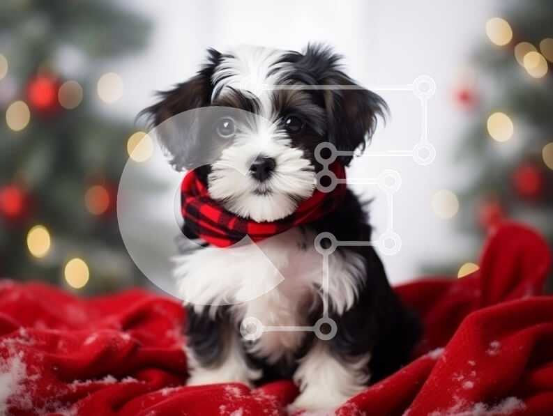 Σετ των 2 Intra Συλλεκτικό Ξύλινο Παζλ Plywood  4mm - Εορταστικό κουτάβι με χριστουγεννιάτικο κασκόλ Σε Ξύλινο Κουτί - Διαστάσεις: 10x10 cm – 25 κομμάτια