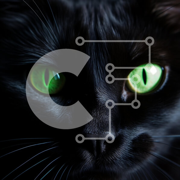 Intra Συλλεκτικό Ξύλινο Παζλ Plywood  4mm - Κοντινό πλάνο μιας μαύρης γάτας με πράσινα μάτια Σε Ξύλινο Κουτί - Διαστάσεις: 10x10 cm – 25 κομμάτια