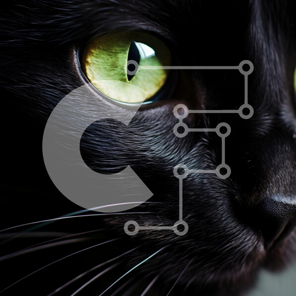 Intra Συλλεκτικό Ξύλινο Παζλ Plywood  4mm - Κοντινό πλάνο μιας μαύρης γάτας με εντυπωσιακά πράσινα μάτια Σε Ξύλινο Κουτί - Διαστάσεις: 10x10 cm – 25 κομμάτια