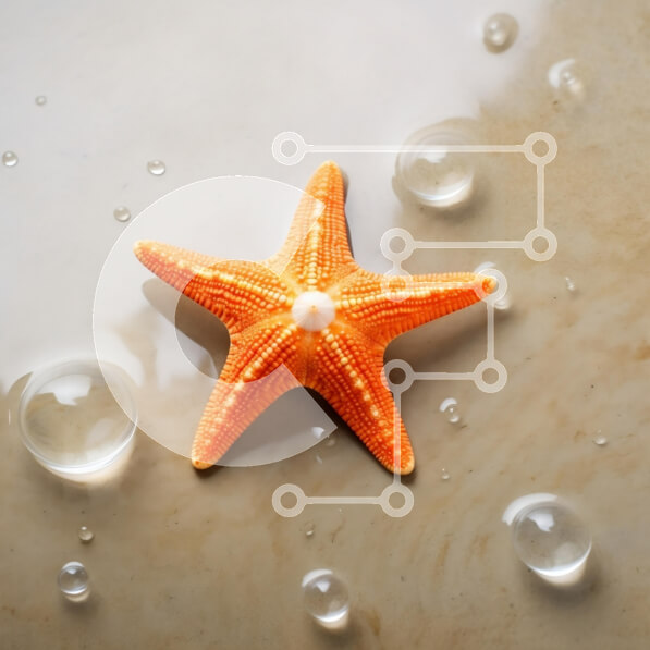 Intra Συλλεκτικό Ξύλινο Παζλ Plywood  4mm - Πορτοκαλί αστερίας στην αμμώδη παραλία με σταγονίδια νερού Σε Ξύλινο Κουτί - Διαστάσεις: 10x10 cm – 25 κομμάτια