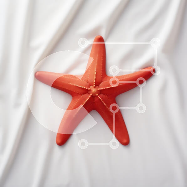 Intra Συλλεκτικό Ξύλινο Παζλ Plywood  4mm - Κόκκινος αστερίας σε λευκή επιφάνεια Σε Ξύλινο Κουτί - Διαστάσεις: 10x10 cm – 25 κομμάτια