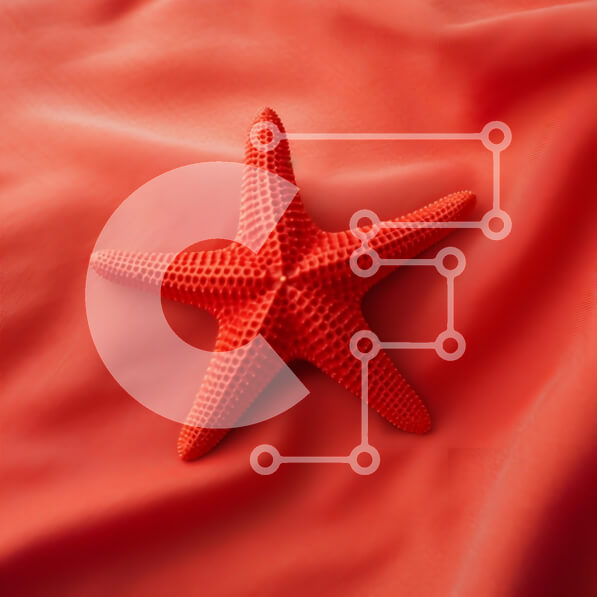 Intra Συλλεκτικό Ξύλινο Παζλ Plywood  4mm - Κόκκινος αστερίας σε κοραλλιογενές ύφασμα Σε Ξύλινο Κουτί - Διαστάσεις: 10x10 cm – 25 κομμάτια