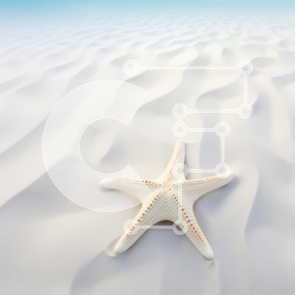 Intra Συλλεκτικό Ξύλινο Παζλ Plywood  4mm - Αστερίας στην παραλία με λευκή άμμο Σε Ξύλινο Κουτί - Διαστάσεις: 10x10 cm – 25 κομμάτια