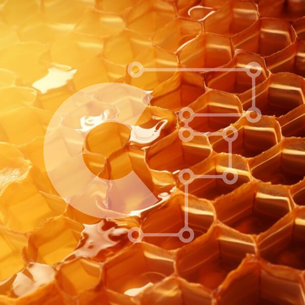 Σετ των 2 Intra Συλλεκτικό Ξύλινο Παζλ Plywood  4mm - Κοντινό πλάνο της κηρήθρας με μέλι Σε Ξύλινο Κουτί - Διαστάσεις: 10x10 cm – 25 κομμάτια