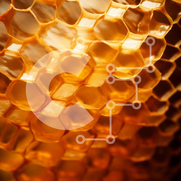 Intra Συλλεκτικό Ξύλινο Παζλ Plywood  4mm - Κινηματογράφηση σε πρώτο πλάνο της κηρήθρας με το χρυσό μέλι Σε Ξύλινο Κουτί - Διαστάσεις: 10x10 cm – 25 κομμάτια