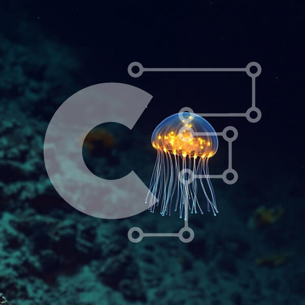 Intra Συλλεκτικό Ξύλινο Παζλ Plywood  4mm - Λαμπερή μέδουσα στα βαθιά νερά του ωκεανού Σε Ξύλινο Κουτί - Διαστάσεις: 10x10 cm – 25 κομμάτια