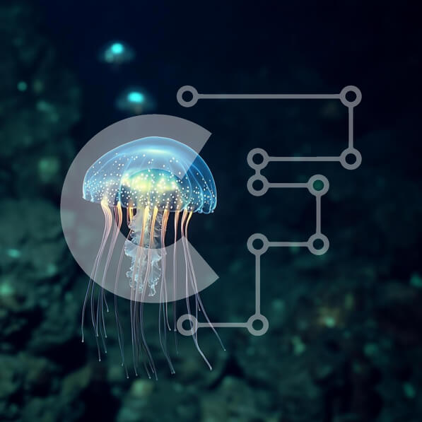 Intra Συλλεκτικό Ξύλινο Παζλ Plywood  4mm - Φωτεινή μέδουσα στον βαθύ ωκεανό Σε Ξύλινο Κουτί - Διαστάσεις: 10x10 cm – 25 κομμάτια