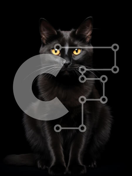 Σετ των 2 Intra Συλλεκτικό Ξύλινο Παζλ Plywood  4mm - Κομψή μαύρη γάτα με κίτρινα μάτια Σε Ξύλινο Κουτί - Διαστάσεις: 10x10 cm – 25 κομμάτια