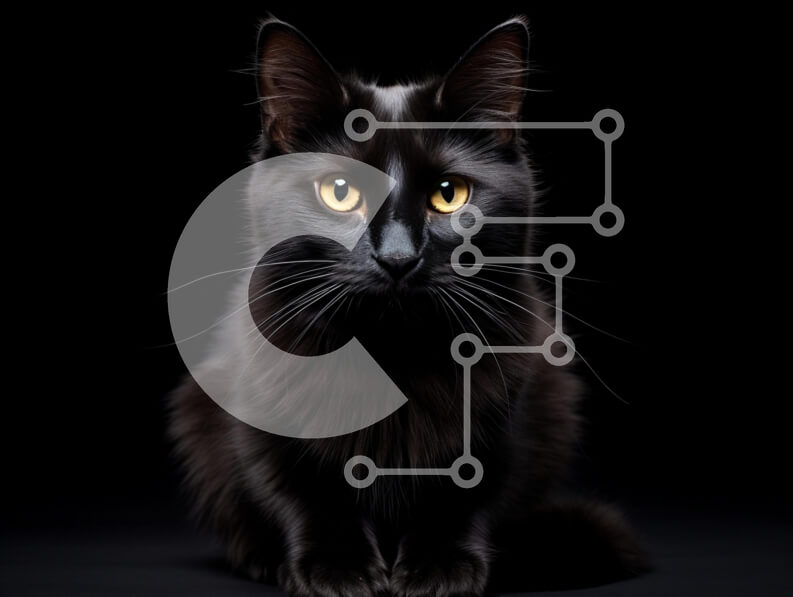 Σετ των 2 Intra Συλλεκτικό Ξύλινο Παζλ Plywood  4mm - Μαύρη γάτα με χρυσά μάτια Σε Ξύλινο Κουτί - Διαστάσεις: 10x10 cm – 25 κομμάτια