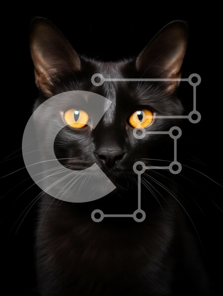 Σετ των 2 Intra Συλλεκτικό Ξύλινο Παζλ Plywood  4mm - Κοντινό πλάνο πορτρέτο μιας μαύρης γάτας με πορτοκαλί μάτια Σε Ξύλινο Κουτί - Διαστάσεις: 10x10 cm – 25 κομμάτια