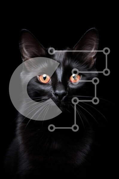 Σετ των 2 Intra Συλλεκτικό Ξύλινο Παζλ Plywood  4mm - Κοντινό πλάνο μιας μαύρης γάτας με πορτοκαλί μάτια Σε Ξύλινο Κουτί - Διαστάσεις: 10x10 cm – 25 κομμάτια