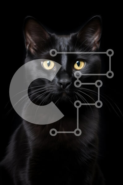 Σετ των 2 Intra Συλλεκτικό Ξύλινο Παζλ Plywood  4mm - Πορτρέτο μιας μαύρης γάτας Σε Ξύλινο Κουτί - Διαστάσεις: 10x10 cm – 25 κομμάτια