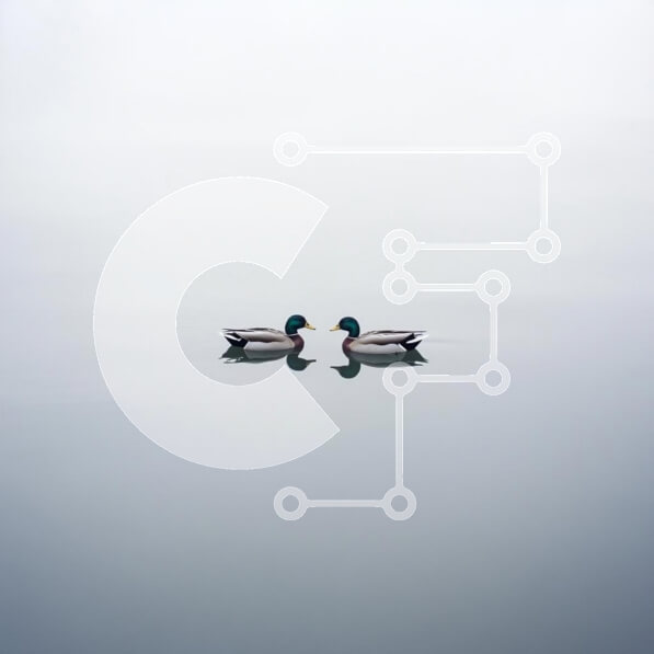 Intra Συλλεκτικό Ξύλινο Παζλ Plywood  4mm - Πάπιες που κολυμπούν σε μια ομιχλώδη λίμνη Σε Ξύλινο Κουτί - Διαστάσεις: 10x10 cm – 25 κομμάτια