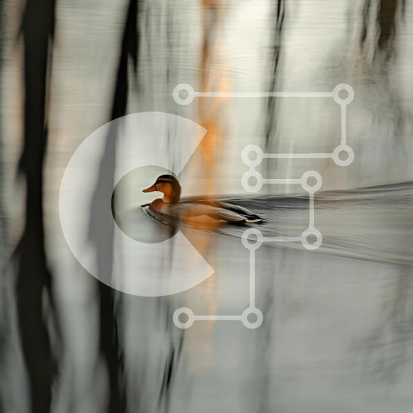 Intra Συλλεκτικό Ξύλινο Παζλ Plywood  4mm - Πάπια που γλιστρά στο νερό Σε Ξύλινο Κουτί - Διαστάσεις: 10x10 cm – 25 κομμάτια