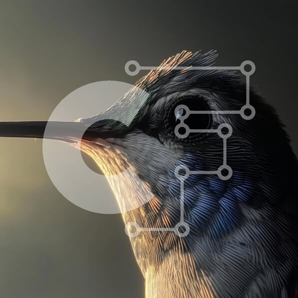 Intra Συλλεκτικό Ξύλινο Παζλ Plywood  4mm - Κοντινό πλάνο ενός κολιμπρί Σε Ξύλινο Κουτί - Διαστάσεις: 10x10 cm – 25 κομμάτια