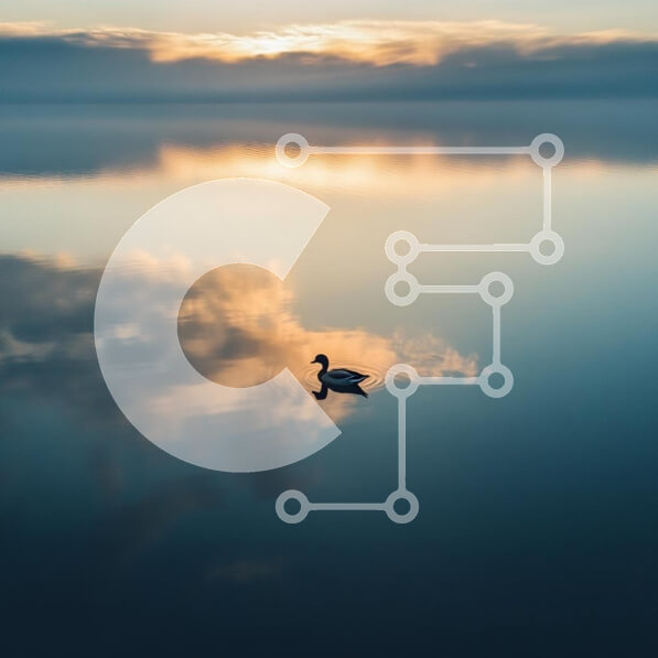 Intra Συλλεκτικό Ξύλινο Παζλ Plywood  4mm - Πάπια σε μια ήρεμη λίμνη την αυγή Σε Ξύλινο Κουτί - Διαστάσεις: 10x10 cm – 25 κομμάτια