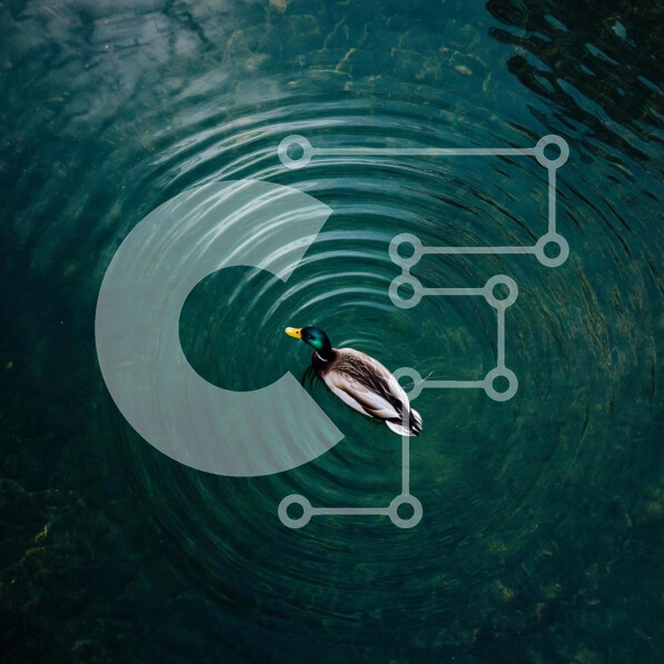 Intra Συλλεκτικό Ξύλινο Παζλ Plywood  4mm - Πάπια που γλιστρά σε ήρεμο νερό Σε Ξύλινο Κουτί - Διαστάσεις: 10x10 cm – 25 κομμάτια