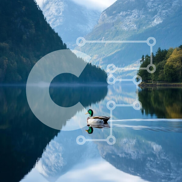 Intra Συλλεκτικό Ξύλινο Παζλ Plywood  4mm - Πάπια πρασινολαλιάς σε ήρεμη λίμνη με αντανακλάσεις βουνού Σε Ξύλινο Κουτί - Διαστάσεις: 10x10 cm – 25 κομμάτια