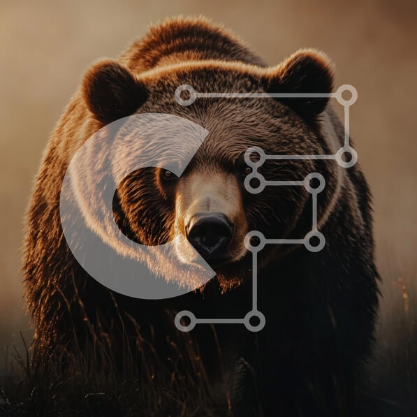 Intra Συλλεκτικό Ξύλινο Παζλ Plywood  4mm - Majestic Bear στο φυσικό φως Σε Ξύλινο Κουτί - Διαστάσεις: 10x10 cm – 25 κομμάτια