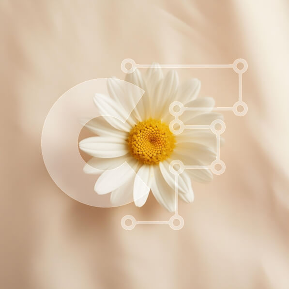 Intra Συλλεκτικό Ξύλινο Παζλ Plywood  4mm - Λουλούδι μαργαρίτας σε φόντο μαλακό ροδάκινο Σε Ξύλινο Κουτί - Διαστάσεις: 10x10 cm – 25 κομμάτια