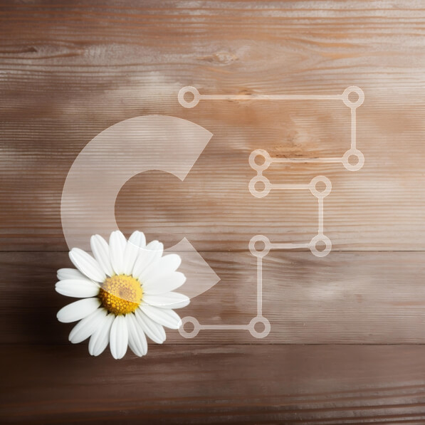 Intra Συλλεκτικό Ξύλινο Παζλ Plywood  4mm - Λουλούδι μαργαρίτας σε ξύλινη επιφάνεια Σε Ξύλινο Κουτί - Διαστάσεις: 10x10 cm – 25 κομμάτια