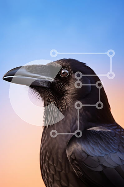 Σετ των 2 Intra Συλλεκτικό Ξύλινο Παζλ Plywood  4mm - Κοντινό πλάνο ενός κορακιού ενάντια στον ουρανό κλίσης Σε Ξύλινο Κουτί - Διαστάσεις: 10x10 cm – 25 κομμάτια