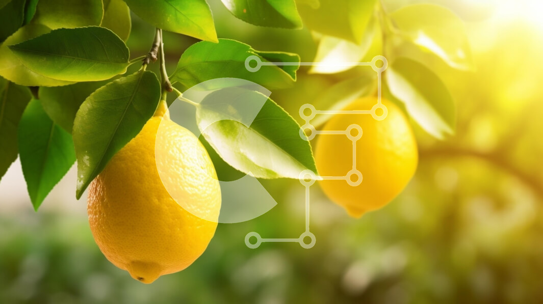 Intra Συλλεκτικό Ξύλινο Παζλ Plywood  4mm - Λεμόνια σε ένα δέντρο με το φως του ήλιου που φιλτράρει μέσα από τα φύλλα Σε Ξύλινο Κουτί - Διαστάσεις: 10x10 cm – 25 κομμάτια