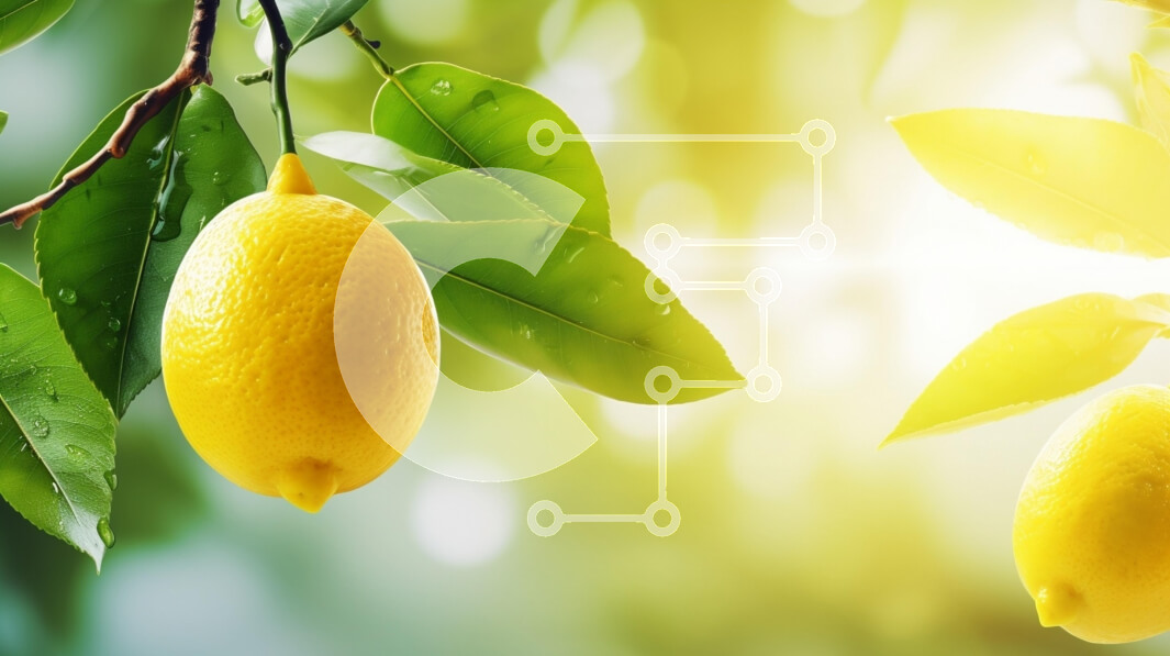 Intra Συλλεκτικό Ξύλινο Παζλ Plywood  4mm - Λεμόνι σε ένα κλαδί με το φως του ήλιου Σε Ξύλινο Κουτί - Διαστάσεις: 10x10 cm – 25 κομμάτια