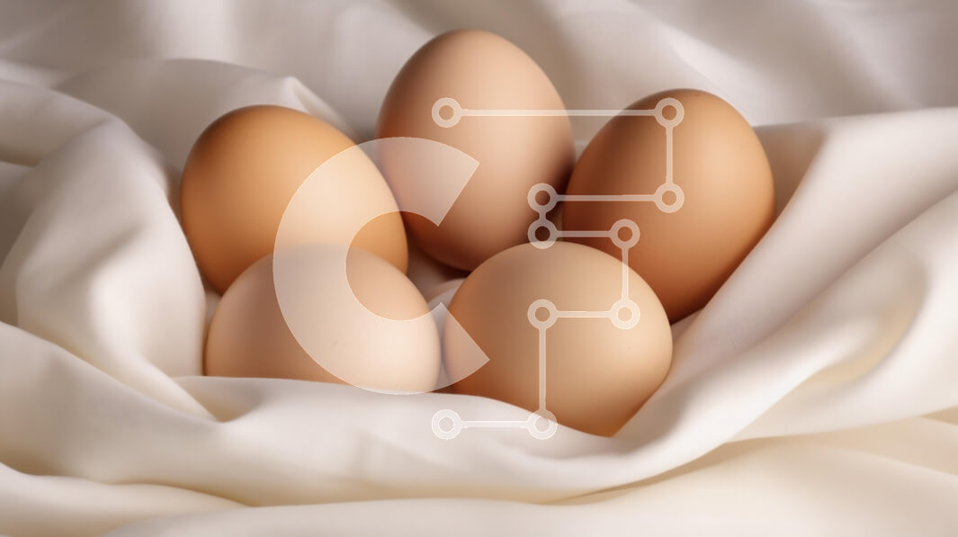 Σετ των 2 Intra Συλλεκτικό Ξύλινο Παζλ Plywood  4mm - Φωλιασμένα καφέ αυγά σε λευκό ύφασμα Σε Ξύλινο Κουτί - Διαστάσεις: 10x10 cm – 25 κομμάτια