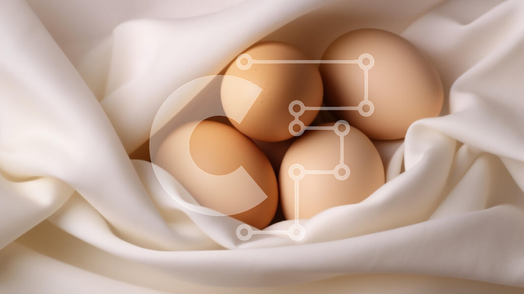 Σετ των 2 Intra Συλλεκτικό Ξύλινο Παζλ Plywood  4mm - Συλλογή από αυγά σε μαλακό ύφασμα Σε Ξύλινο Κουτί - Διαστάσεις: 10x10 cm – 25 κομμάτια