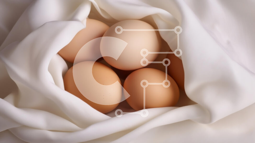 Σετ των 2 Intra Συλλεκτικό Ξύλινο Παζλ Plywood  4mm - Συλλογή από αυγά σε λευκό ύφασμα Σε Ξύλινο Κουτί - Διαστάσεις: 10x10 cm – 25 κομμάτια