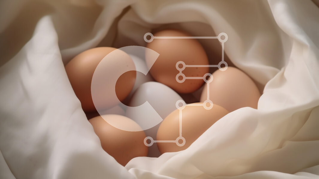 Σετ των 2 Intra Συλλεκτικό Ξύλινο Παζλ Plywood  4mm - Ποικιλία αυγών σε λευκό ύφασμα Σε Ξύλινο Κουτί - Διαστάσεις: 10x10 cm – 25 κομμάτια