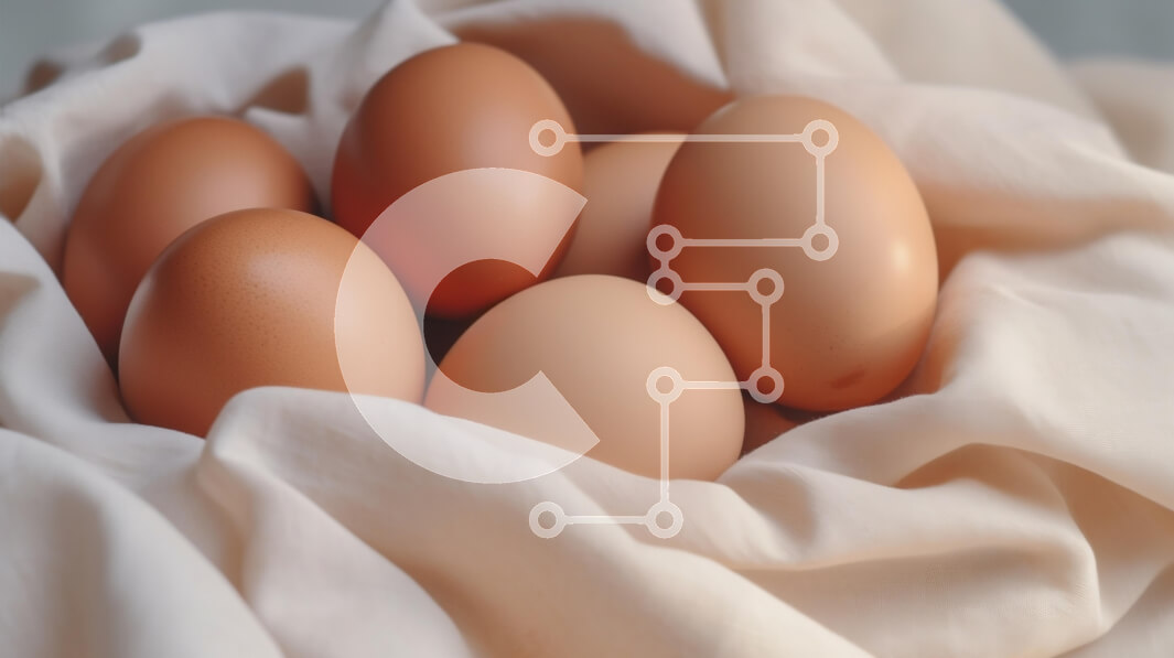 Σετ των 2 Intra Συλλεκτικό Ξύλινο Παζλ Plywood  4mm - Συλλογή από καφέ αυγά σε ύφασμα Σε Ξύλινο Κουτί - Διαστάσεις: 10x10 cm – 25 κομμάτια