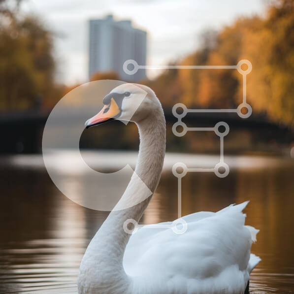 Intra Συλλεκτικό Ξύλινο Παζλ Plywood  4mm - Κύκνος σε μια ήρεμη λίμνη με φθινοπωρινό φόντο Σε Ξύλινο Κουτί - Διαστάσεις: 10x10 cm – 25 κομμάτια