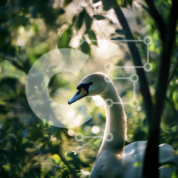 Intra Συλλεκτικό Ξύλινο Παζλ Plywood  4mm - Χαριτωμένος κύκνος στο καταπράσινο τοπίο Σε Ξύλινο Κουτί - Διαστάσεις: 10x10 cm – 25 κομμάτια