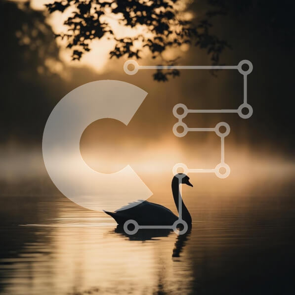 Intra Συλλεκτικό Ξύλινο Παζλ Plywood  4mm - Κύκνος σε μια ομιχλώδη λίμνη την αυγή Σε Ξύλινο Κουτί - Διαστάσεις: 10x10 cm – 25 κομμάτια