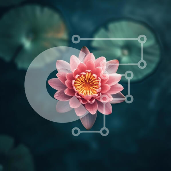 Intra Συλλεκτικό Ξύλινο Παζλ Plywood  4mm - Ροζ νούφαρο στο σκοτεινό νερό Σε Ξύλινο Κουτί - Διαστάσεις: 10x10 cm – 25 κομμάτια