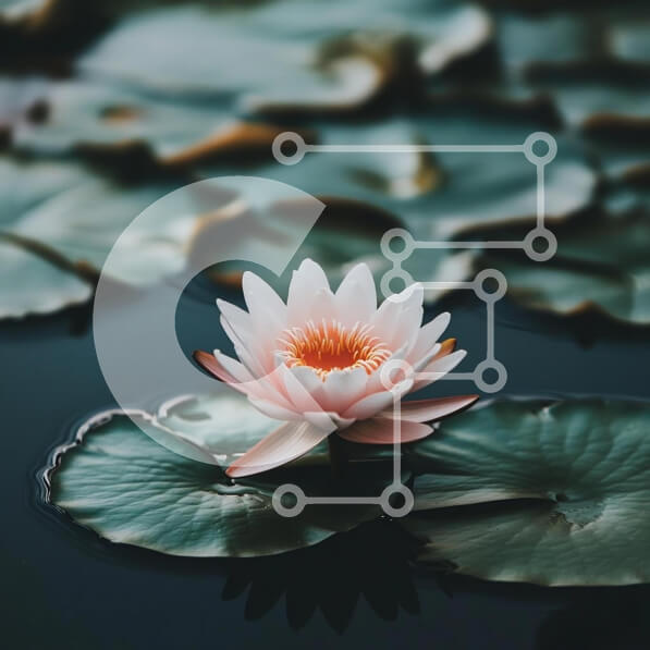 Intra Συλλεκτικό Ξύλινο Παζλ Plywood  4mm - Ανθισμένο λουλούδι λωτού σε μια γαλήνια λίμνη Σε Ξύλινο Κουτί - Διαστάσεις: 10x10 cm – 25 κομμάτια