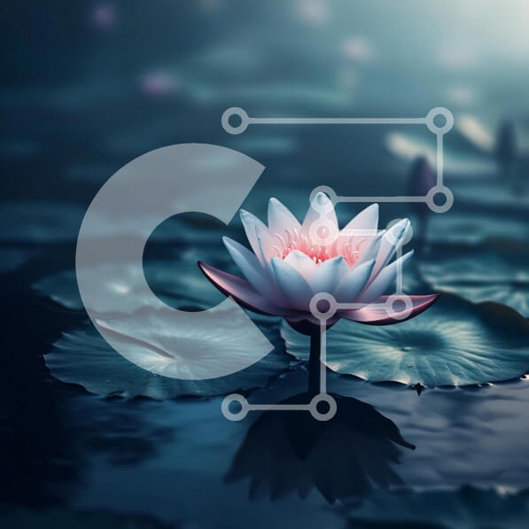 Intra Συλλεκτικό Ξύλινο Παζλ Plywood  4mm - Ροζ νούφαρο σε μια ήρεμη λίμνη Σε Ξύλινο Κουτί - Διαστάσεις: 10x10 cm – 25 κομμάτια