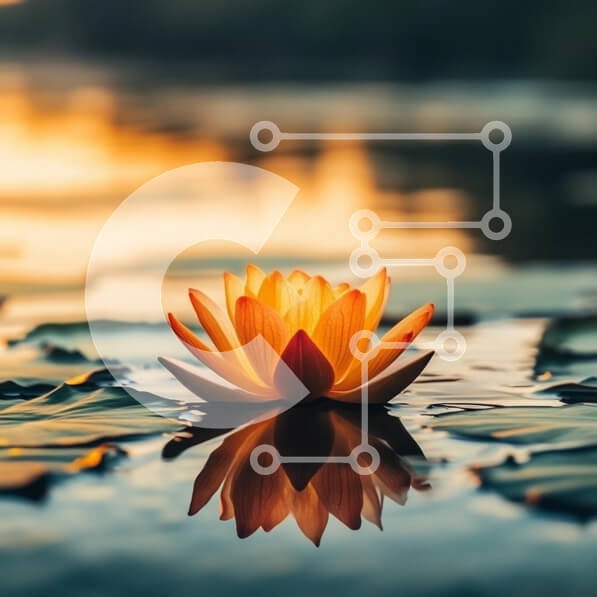 Intra Συλλεκτικό Ξύλινο Παζλ Plywood  4mm - Νούφαρο στο ηλιοβασίλεμα Σε Ξύλινο Κουτί - Διαστάσεις: 10x10 cm – 25 κομμάτια