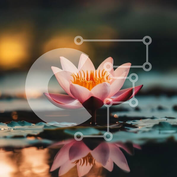 Intra Συλλεκτικό Ξύλινο Παζλ Plywood  4mm - Νούφαρο σε μια ήρεμη λίμνη Σε Ξύλινο Κουτί - Διαστάσεις: 10x10 cm – 25 κομμάτια