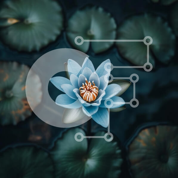 Intra Συλλεκτικό Ξύλινο Παζλ Plywood  4mm - Μπλε νούφαρο στο σκοτεινό νερό Σε Ξύλινο Κουτί - Διαστάσεις: 10x10 cm – 25 κομμάτια