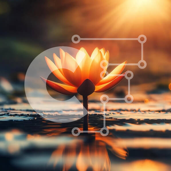 Intra Συλλεκτικό Ξύλινο Παζλ Plywood  4mm - Λουλούδι Lotus στη λάμψη ηλιοβασιλέματος Σε Ξύλινο Κουτί - Διαστάσεις: 10x10 cm – 25 κομμάτια