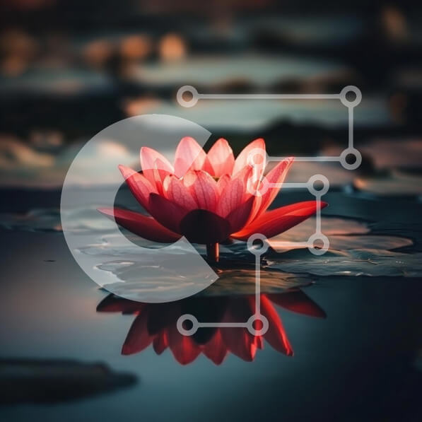 Intra Συλλεκτικό Ξύλινο Παζλ Plywood  4mm - Όμορφο ροζ λουλούδι λωτού στο νερό Σε Ξύλινο Κουτί - Διαστάσεις: 10x10 cm – 25 κομμάτια