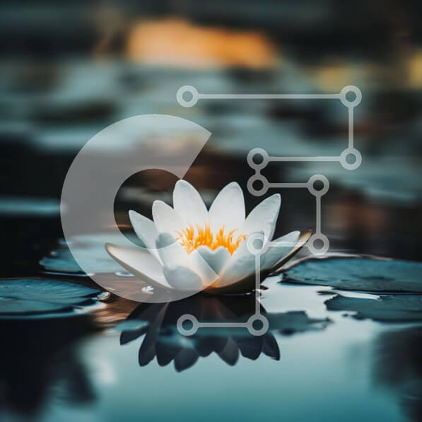 Intra Συλλεκτικό Ξύλινο Παζλ Plywood  4mm - Νούφαρο σε μια ήρεμη επιφάνεια νερού Σε Ξύλινο Κουτί - Διαστάσεις: 10x10 cm – 25 κομμάτια